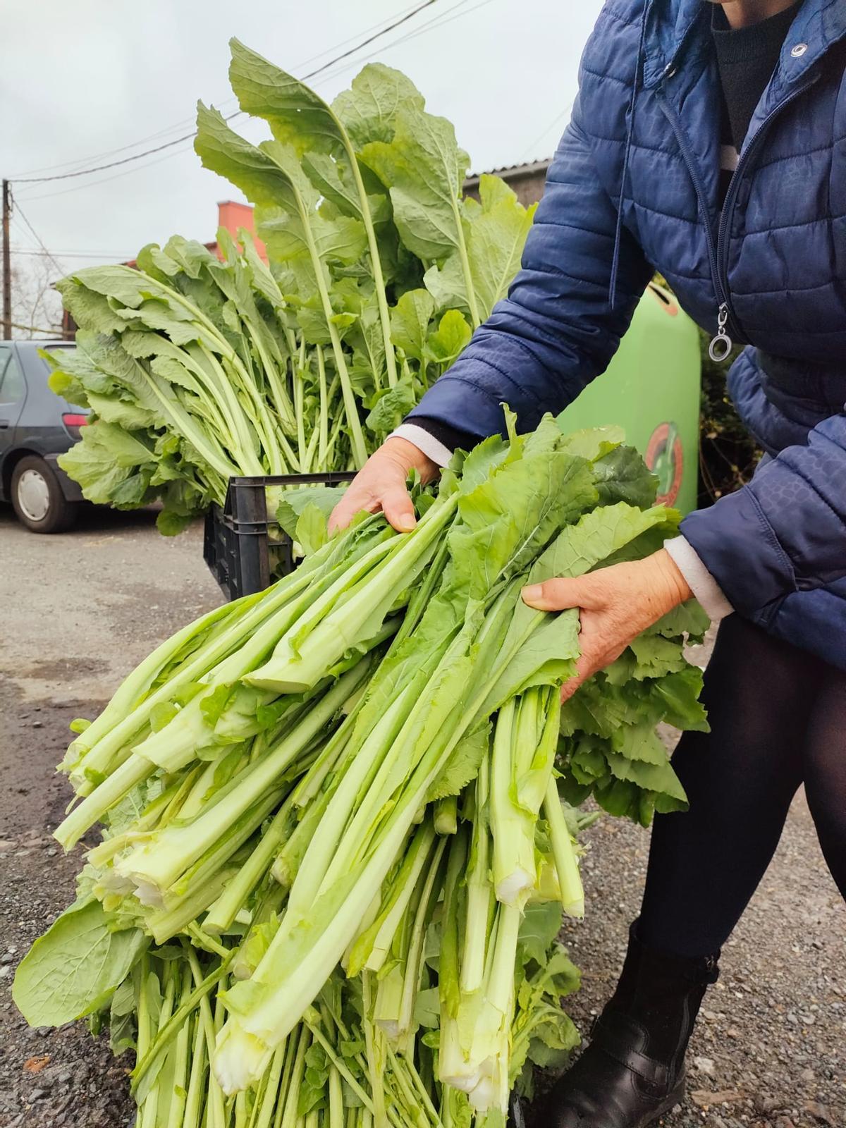 Elvira, vendedora de grelos en la N-550 a sus 86 años: "Son los mejores del mundo"
