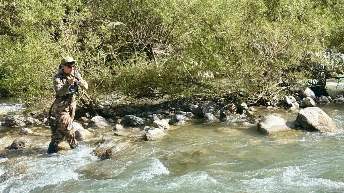 Galicia demuestra un año más su inagotable cantera de la pesca Galicia demuestra un año más su inagotable cantera de la pesca