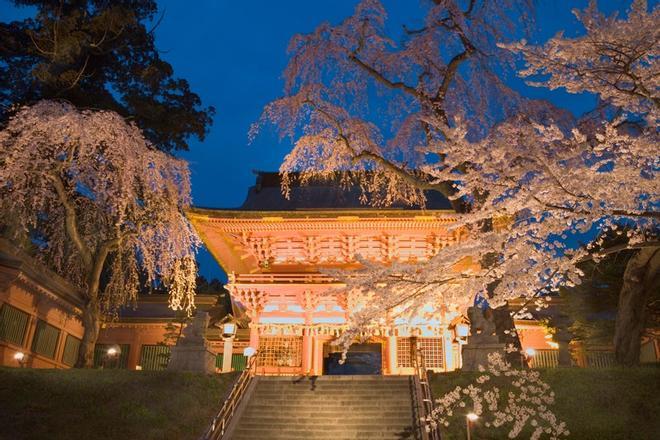 Cerezos en flor en Shiogama, Japón