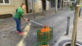 El proyecto de economía circular de las naranjas urbanas de Mollet, finalista en los premios europeos de prevención de residuos