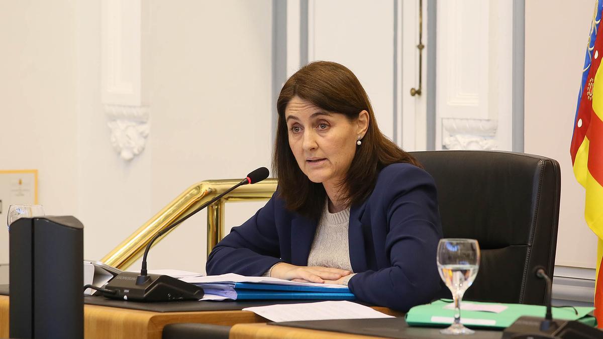 La vicepresidenta segunda de la Diputación, Marina Sáez, en un pleno reciente