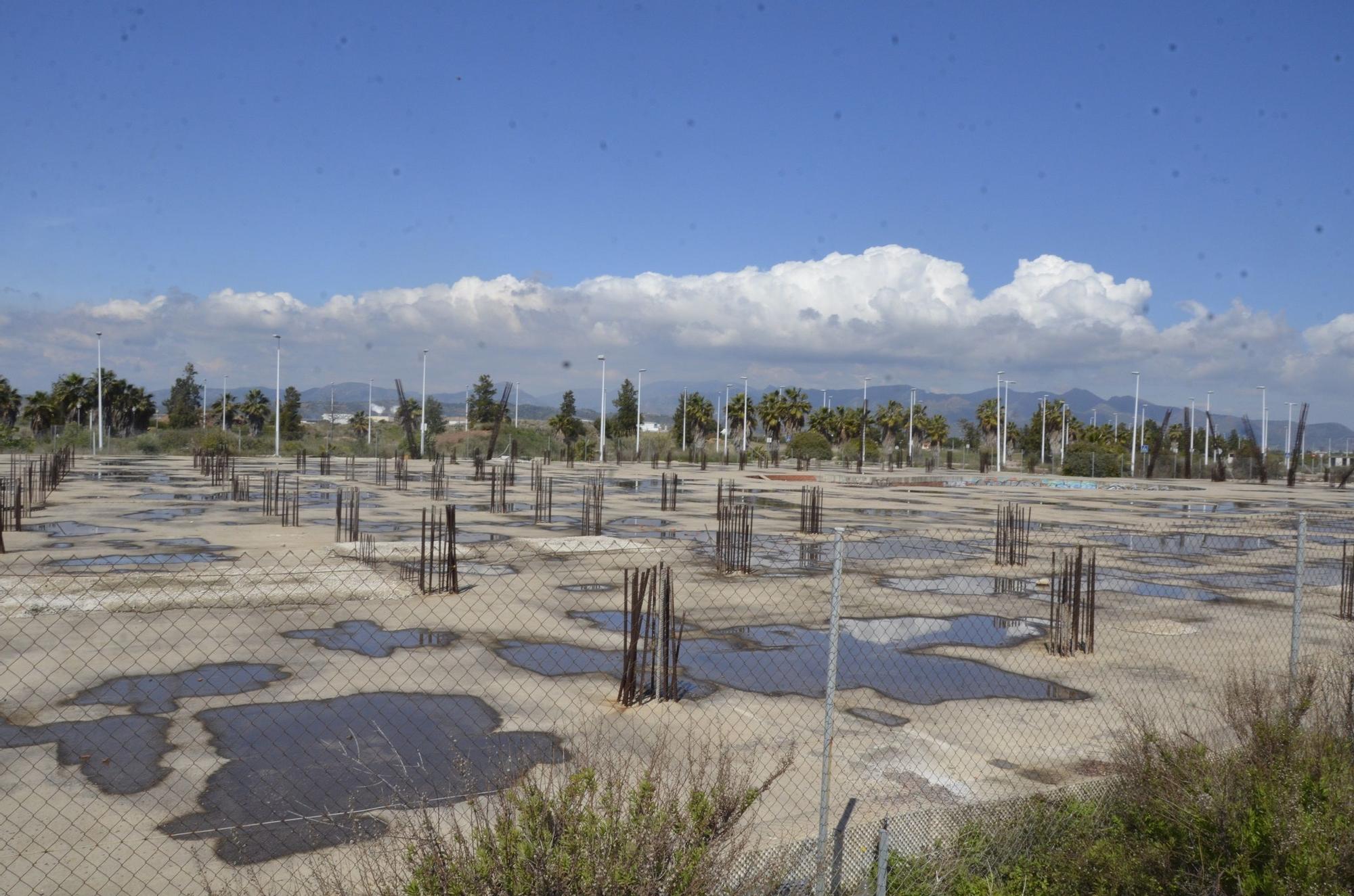 El PAI Belcaire Sur de Moncofa, una urbanización abandonada y habitada solo por la maleza