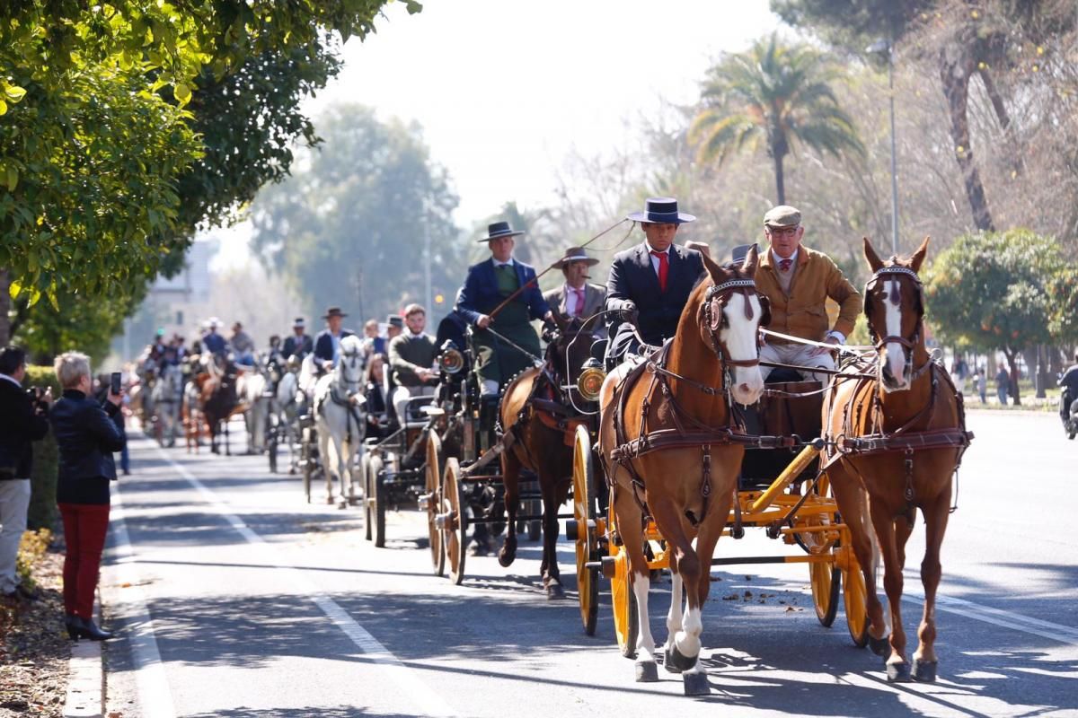 Cientos de caballistas y engances participan en la Marcha Hípica del 28-F en Córdoba