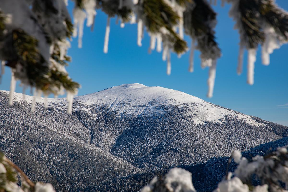 Nieve en Navacerrada a 20 de enero de 2026.