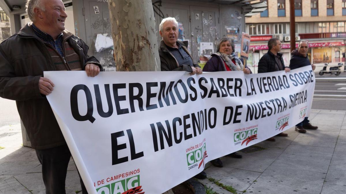 La Culebra no volverá a tener aspecto de bosque hasta dentro de diez años.