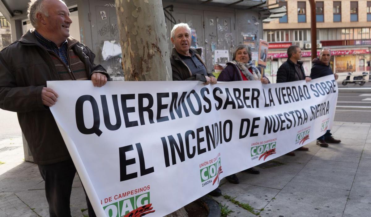 La Culebra no volverá a tener aspecto de bosque hasta dentro de diez años.