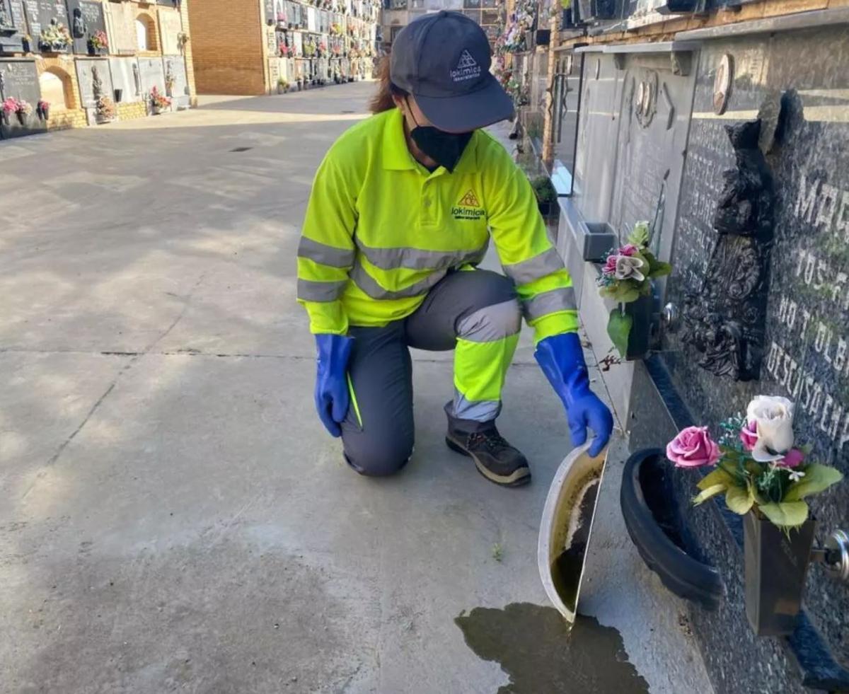 El agua estancada derivada de tormentas, riegos o piscinas mal mantenidas proporciona el hábitat perfecto para muchas especies.