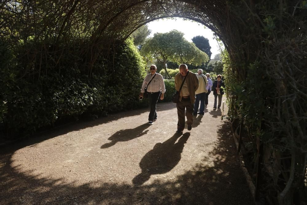 Primer día de apertura de los jardines de Marivent