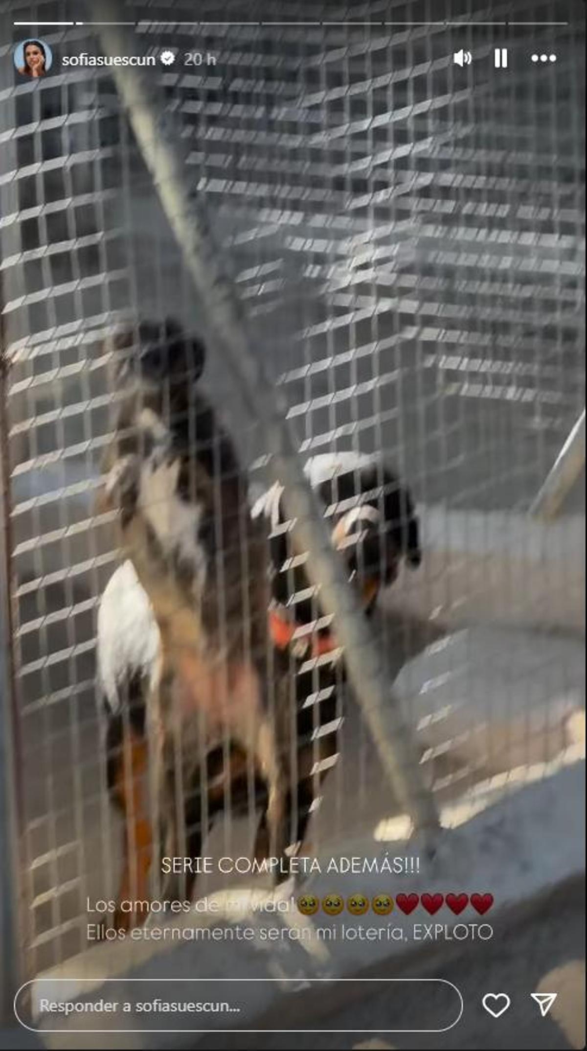 Sofía Suescun cuenta que le ha tocado la Lotería