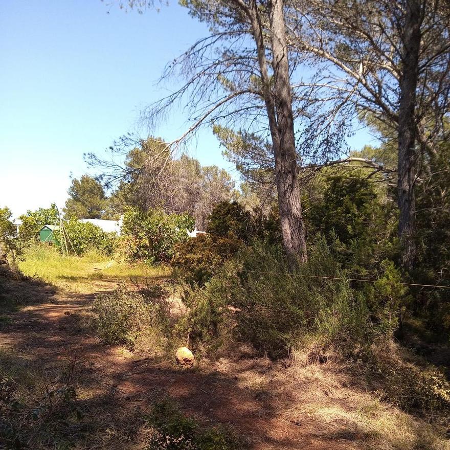 Ciclistas denuncian la instalación de un cable a la altura del cuello en un sendero en Ibiza