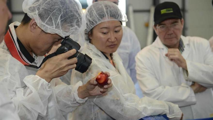 Una delegación china &#039;saborea&#039; fruta murciana