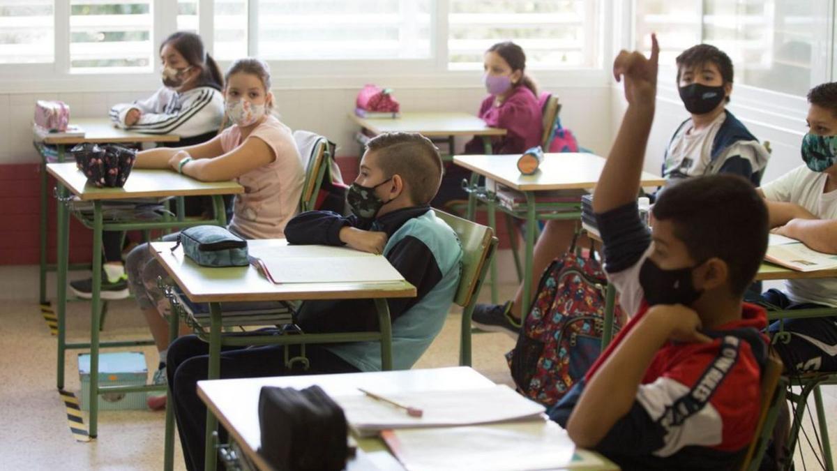 Un grupo de alumnos de primaria en una clase. | D.I.