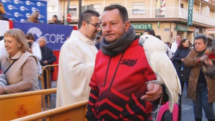 Bendición de animales por Sant Antoni en València