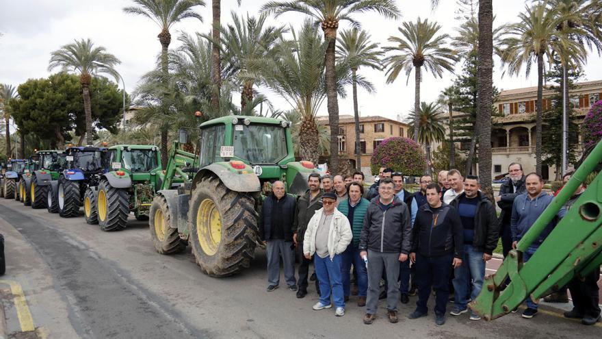 El TSJB avala la polémica declaración de nuevas zonas de protección para las aves en Mallorca