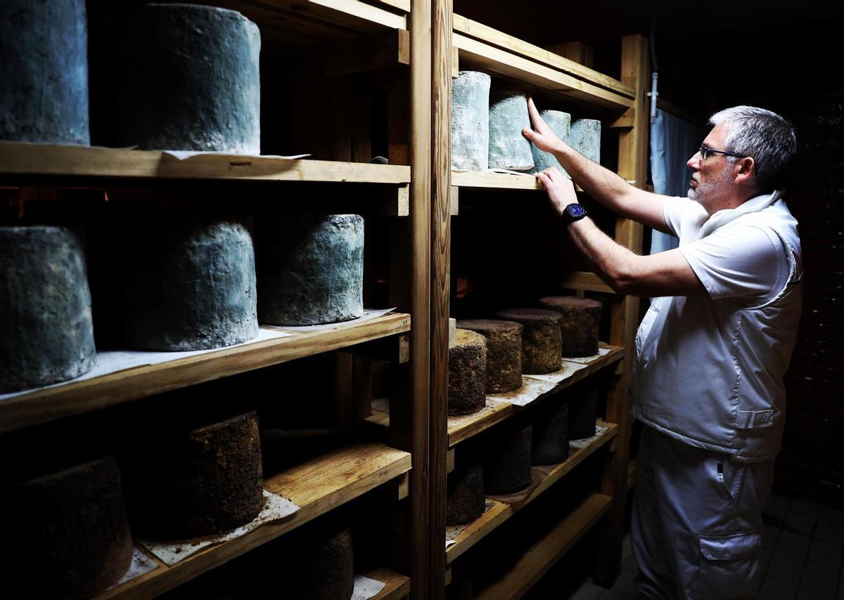 El maestro quesero Ernesto Madera con producción de la marca Mamá Marisa, que exportan a EE UU.