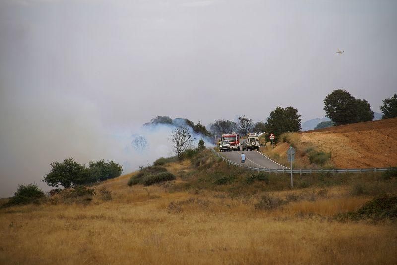 Imágenes del incendio forestal de Grisuela.