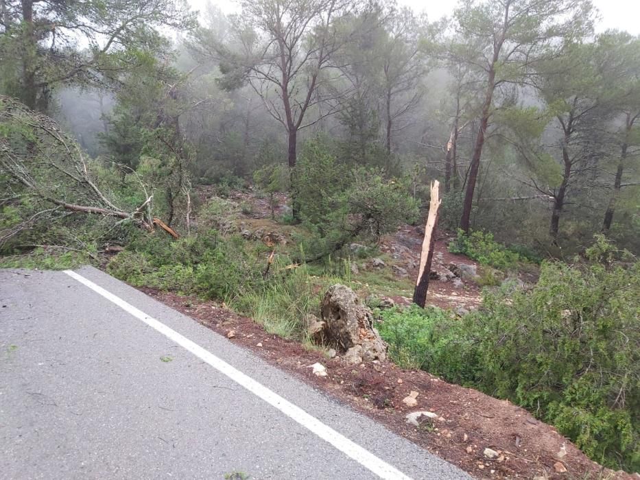 El temporal descarga sobre Ibiza y Formentera