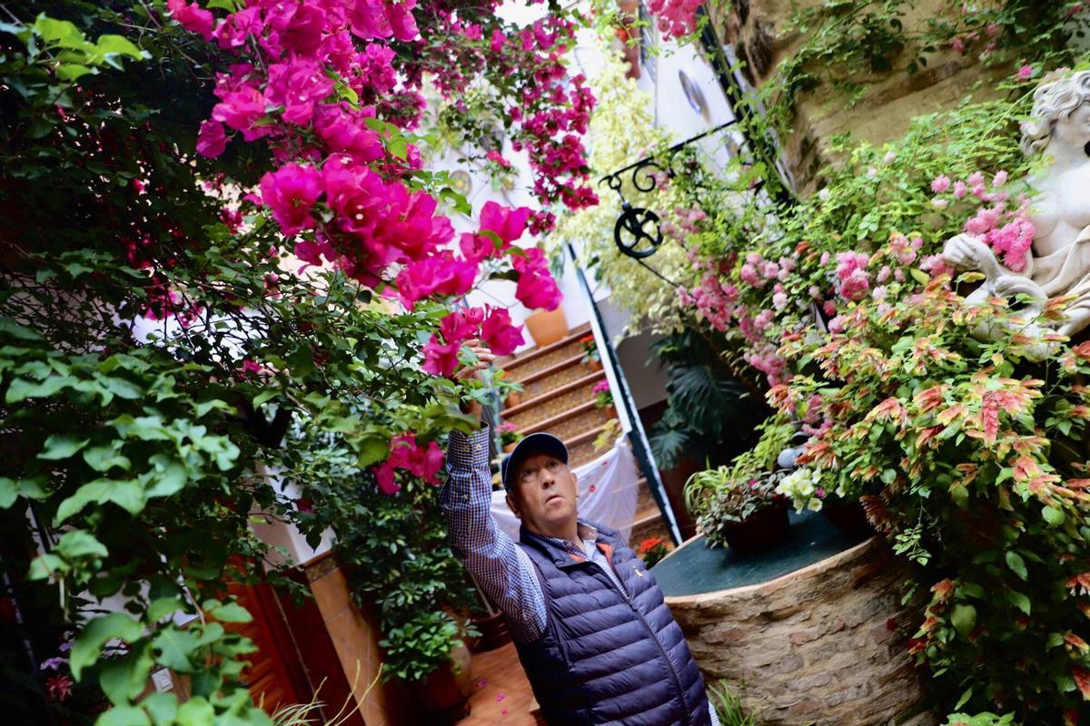 Estos son los patios ganadores de los primeros premios