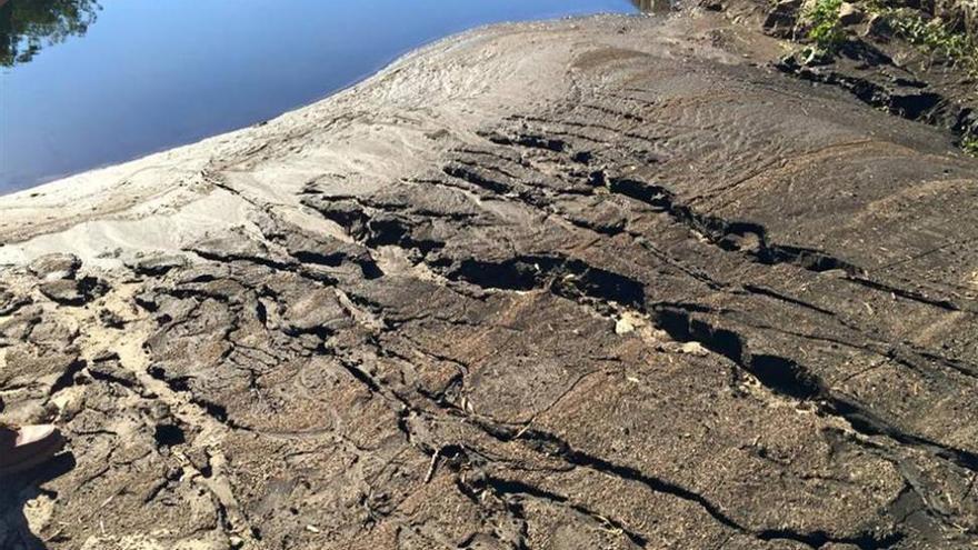 El PP advierte de la aparición de lodo de cenizas en ríos y cauces de Acebo
