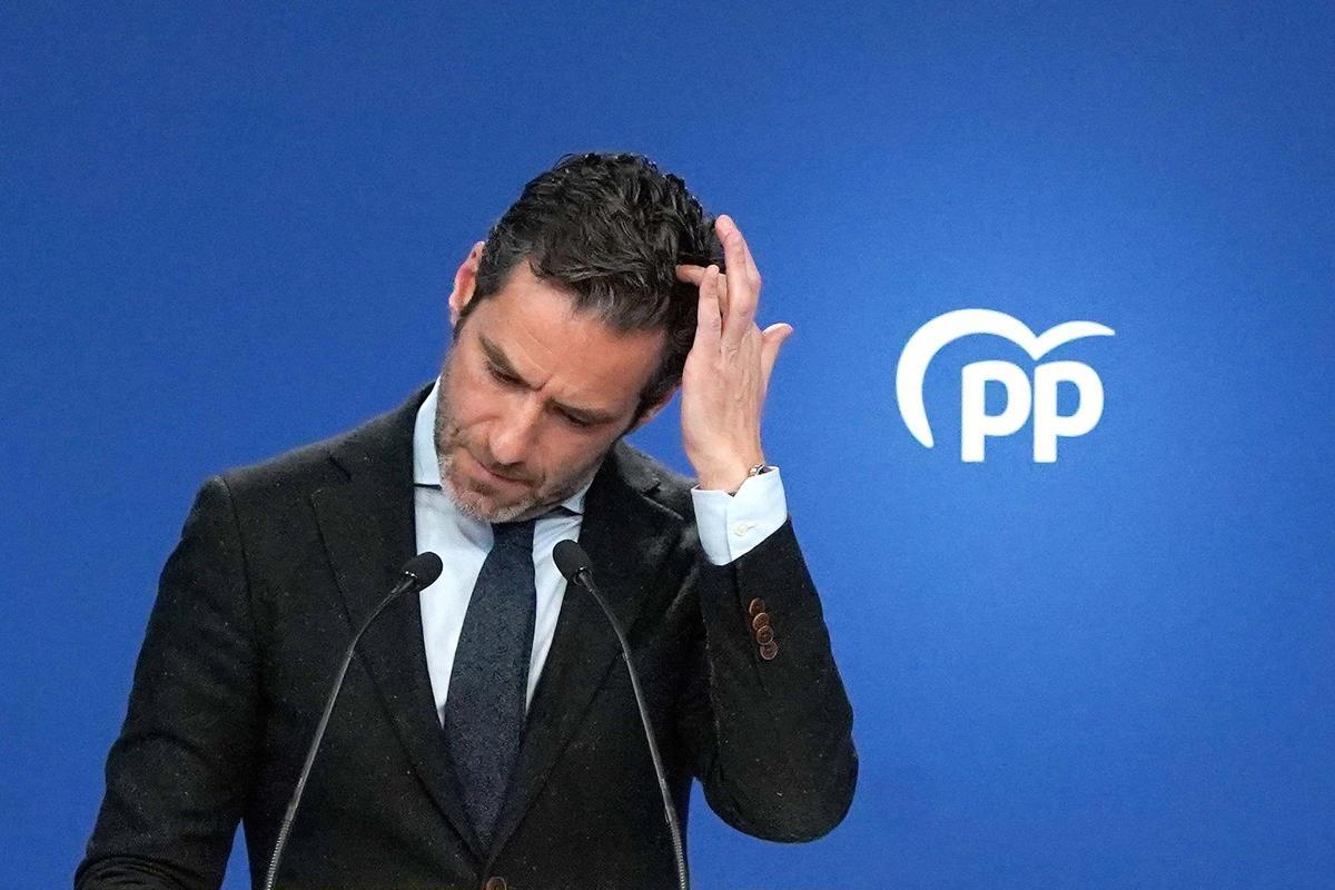 El PP impulsarà una comissió al Senat sobre el verificador