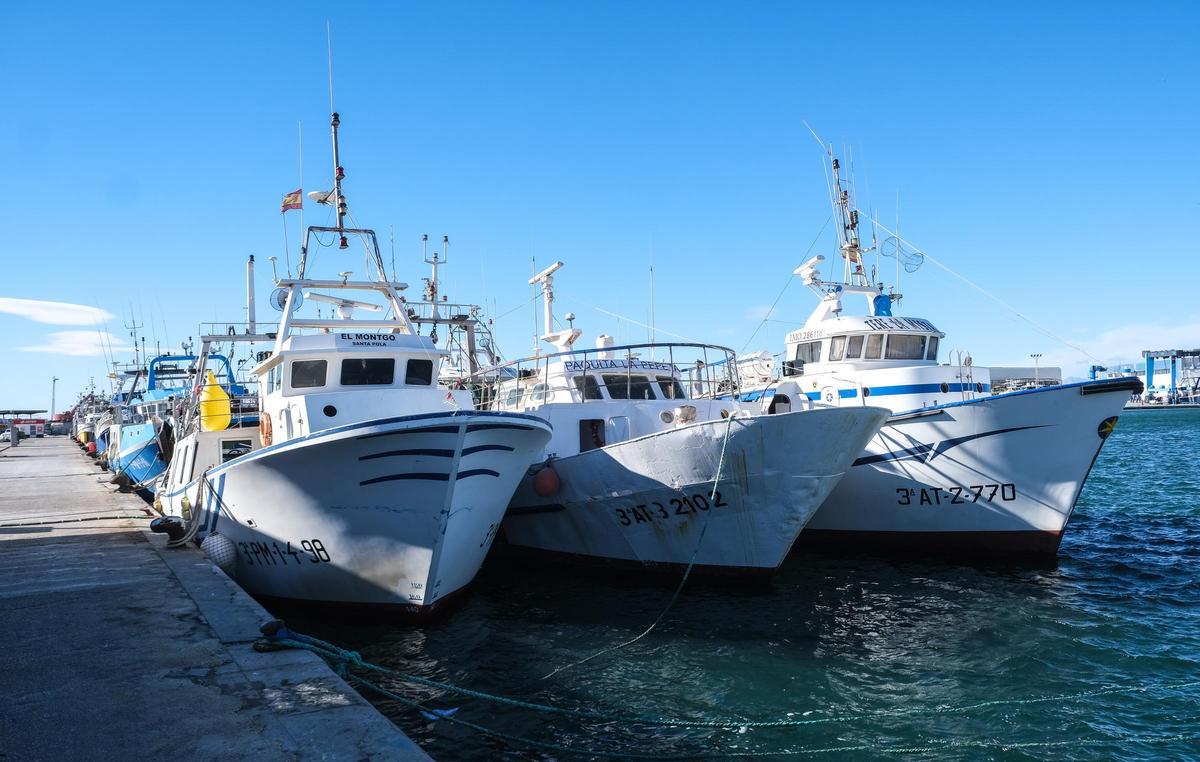 Flota de Santa Pola, en una imagen reciente.