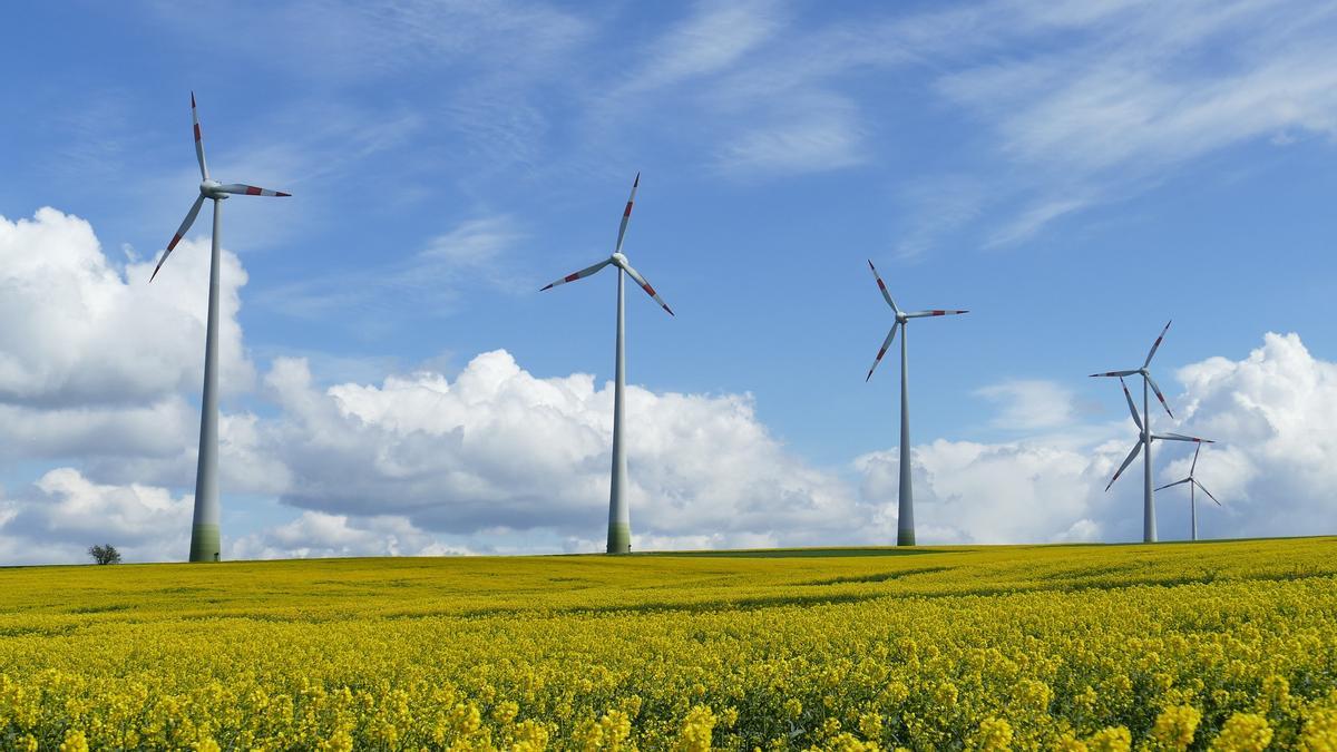 Molinos eólicos