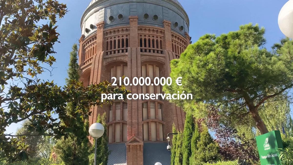 Madrid, nombrada "Ciudad Arbórea del Mundo" por séptimo año consecutivo, según la ONU