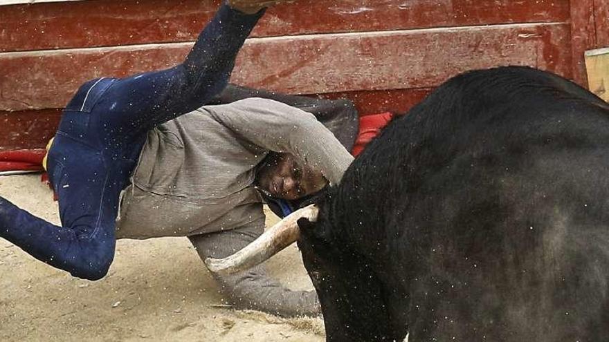 Uno de los participantes es volteado por el toro.