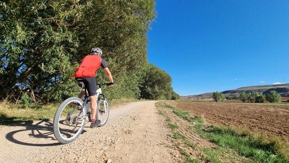 Ruta de BTT por los alrededores de Mezquita de Jarque, en Teruel.