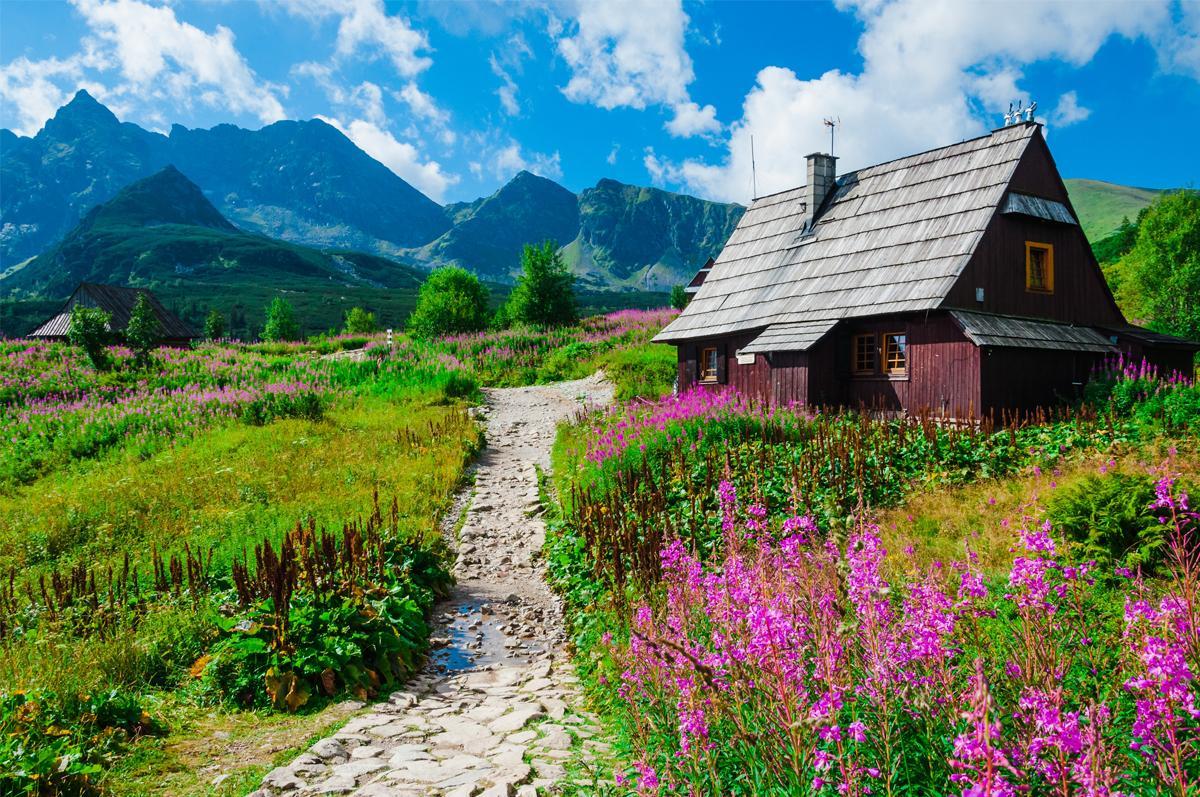 En Zakopane casi todas las construcciones tienen la misma arquitectura; casas de madera y techos inclinados