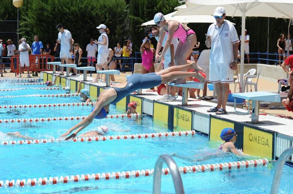 Trofeo Ciudad de Murcia