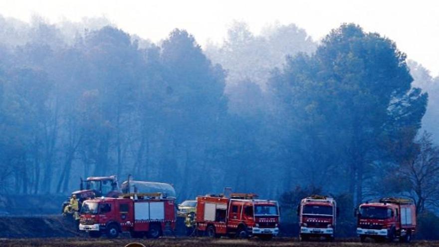 Els incendis del 2016 ja superen en més de la meitat la superfície afectada l&#039;any passat