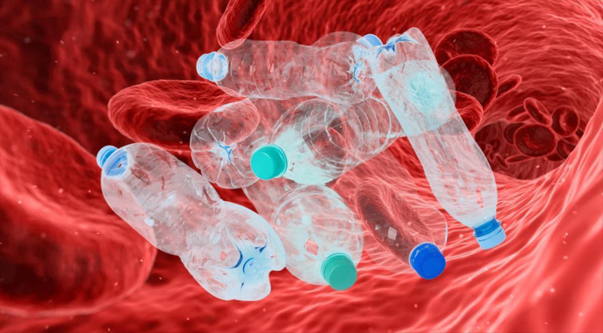 El plástico ya está presente en el torrente sanguíneo y en numerosos órganos vitales