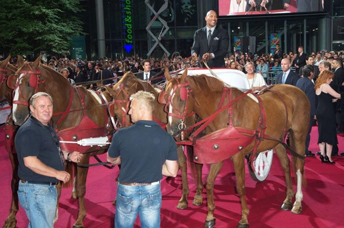 Dwayne Johnson Dwayne Johnson