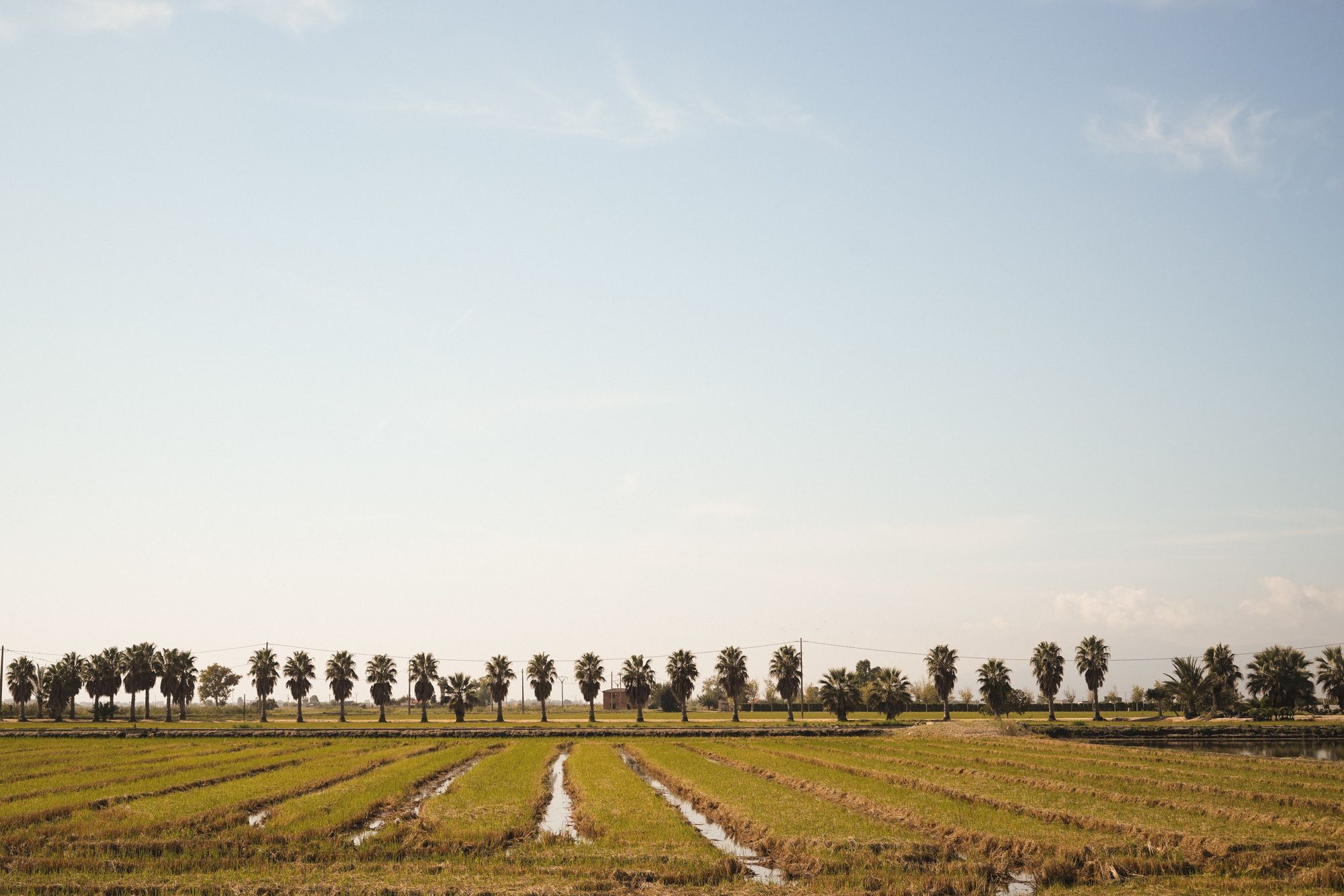Una ruta en bici por el Delta del Ebre