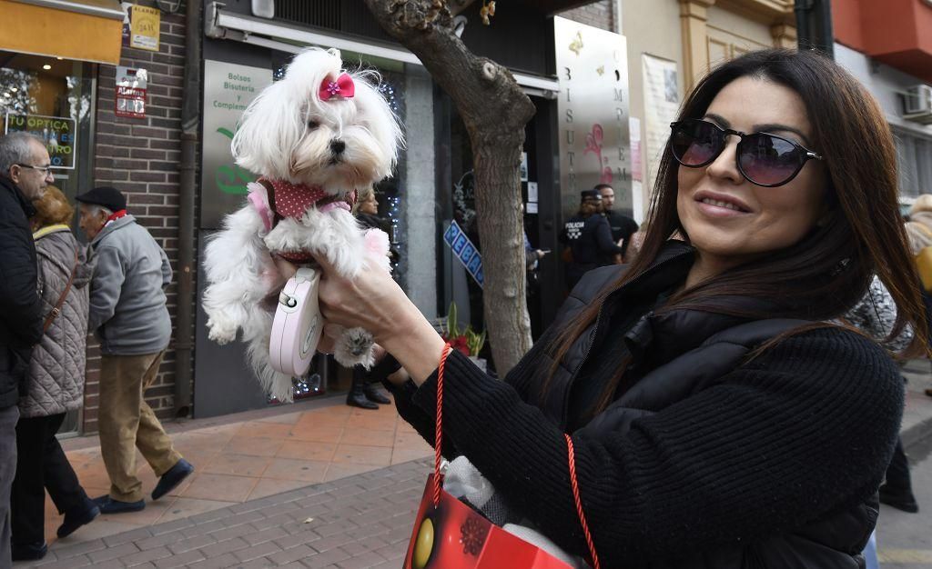 Así ha sido la bendición de animales por San Antón en Murcia
