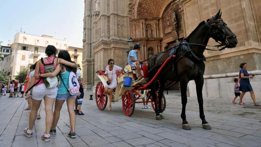 Eine Pferdekutsche vor Palmas Kathedrale.