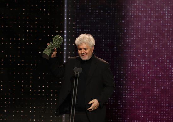 Els Goya entronitzen ''Dolor y gloria'' d''Almodóvar