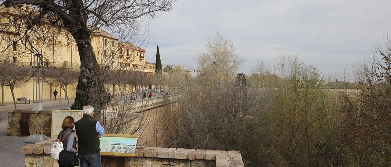 Vista de una parte de los Sotos de la Albolafia.