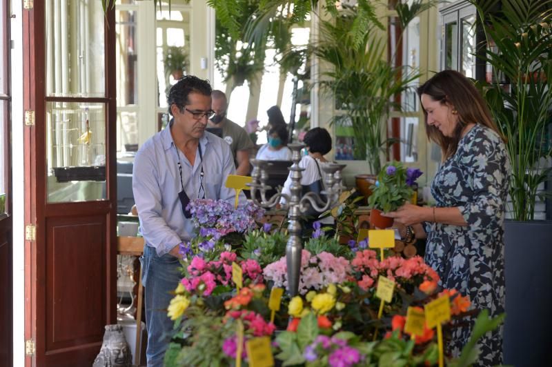 El Churchill reconvertido en tienda de plantas