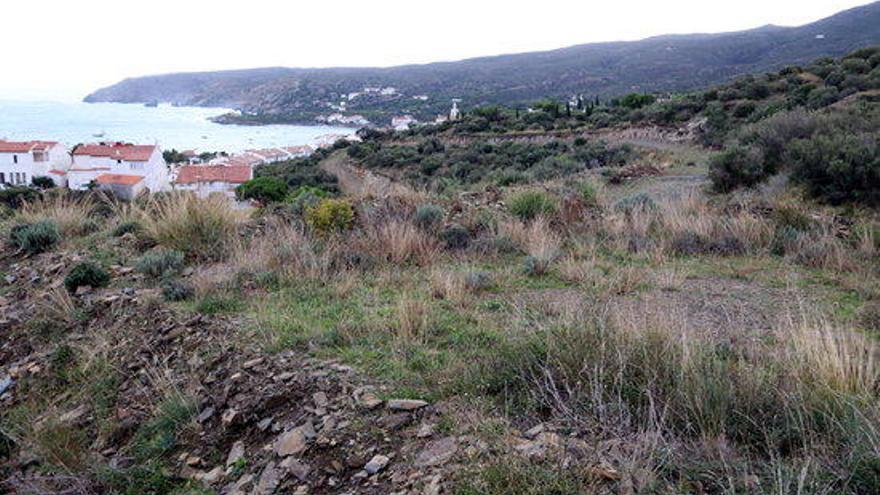 Pla general de la zona de Sa Guarda de Cadaqués.