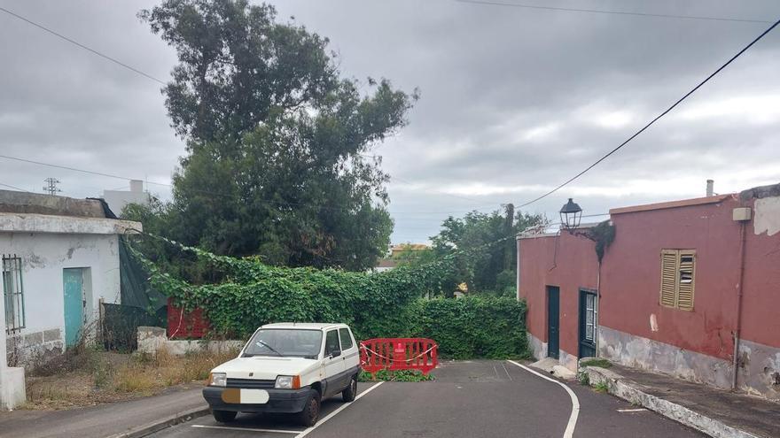 Concerns in Tacoronte Regarding Safety on Teobaldo Power Street Bridge Concerns in Tacoronte Regarding Safety on Teobaldo Power Street Bridge