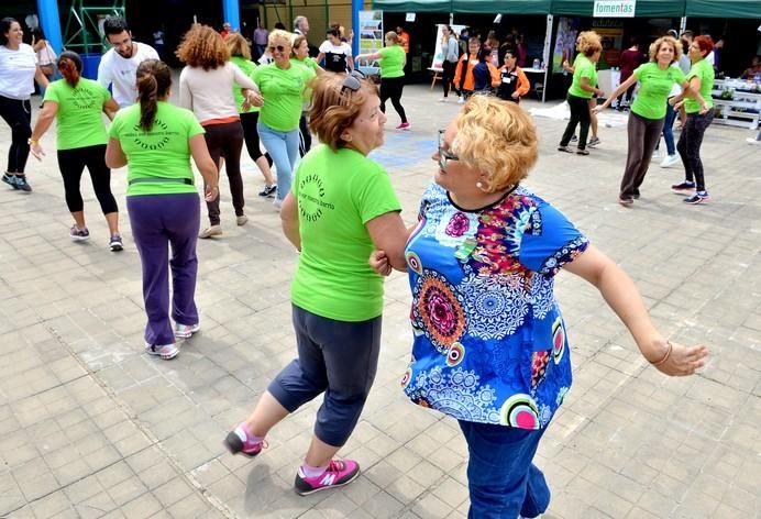 MEDIOAMBIENTE IES JINAMAR PUERTAS ABIERTAS