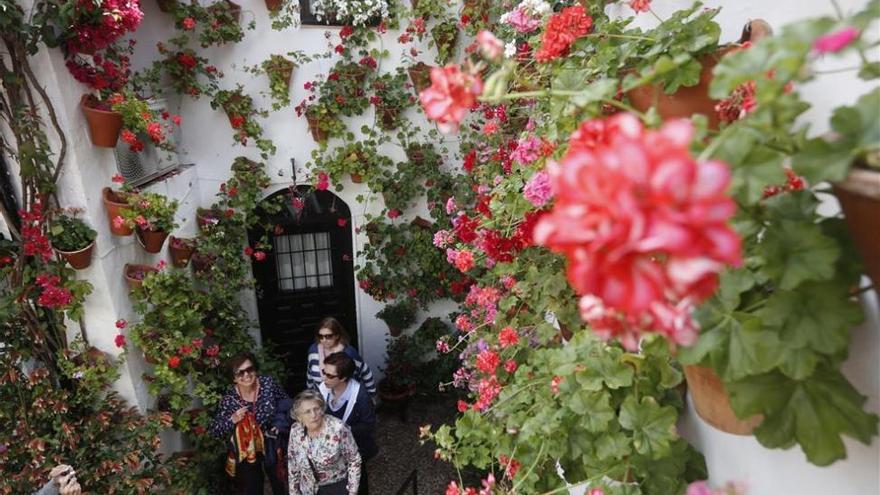 La Universidad de Sevilla mide el valor ecológico de los patios de Córdoba
