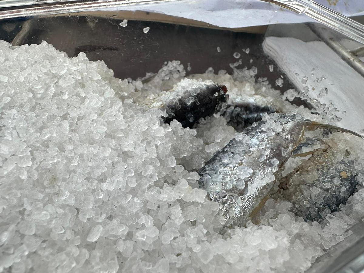 Degustación a bordo del "Chasula".
