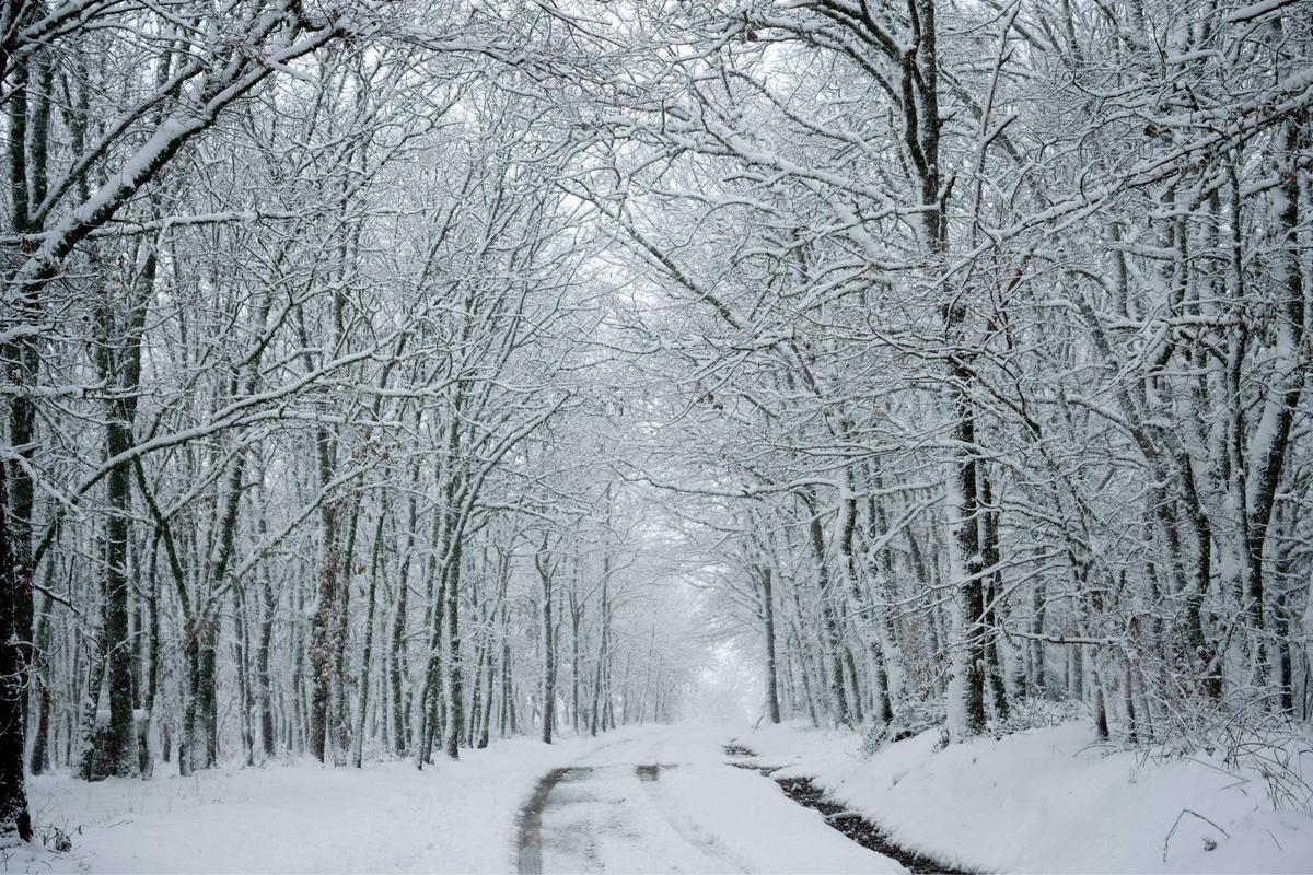 El temporal de nieve en la provincia de Ourense