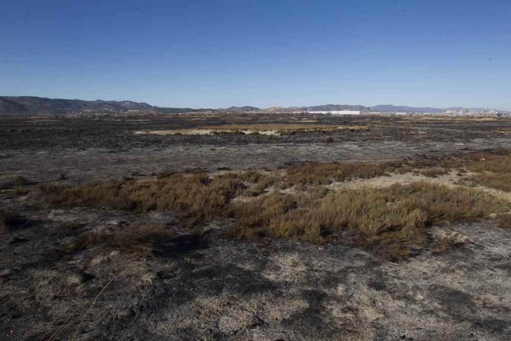 La Marjal dels Moros tras el incendio