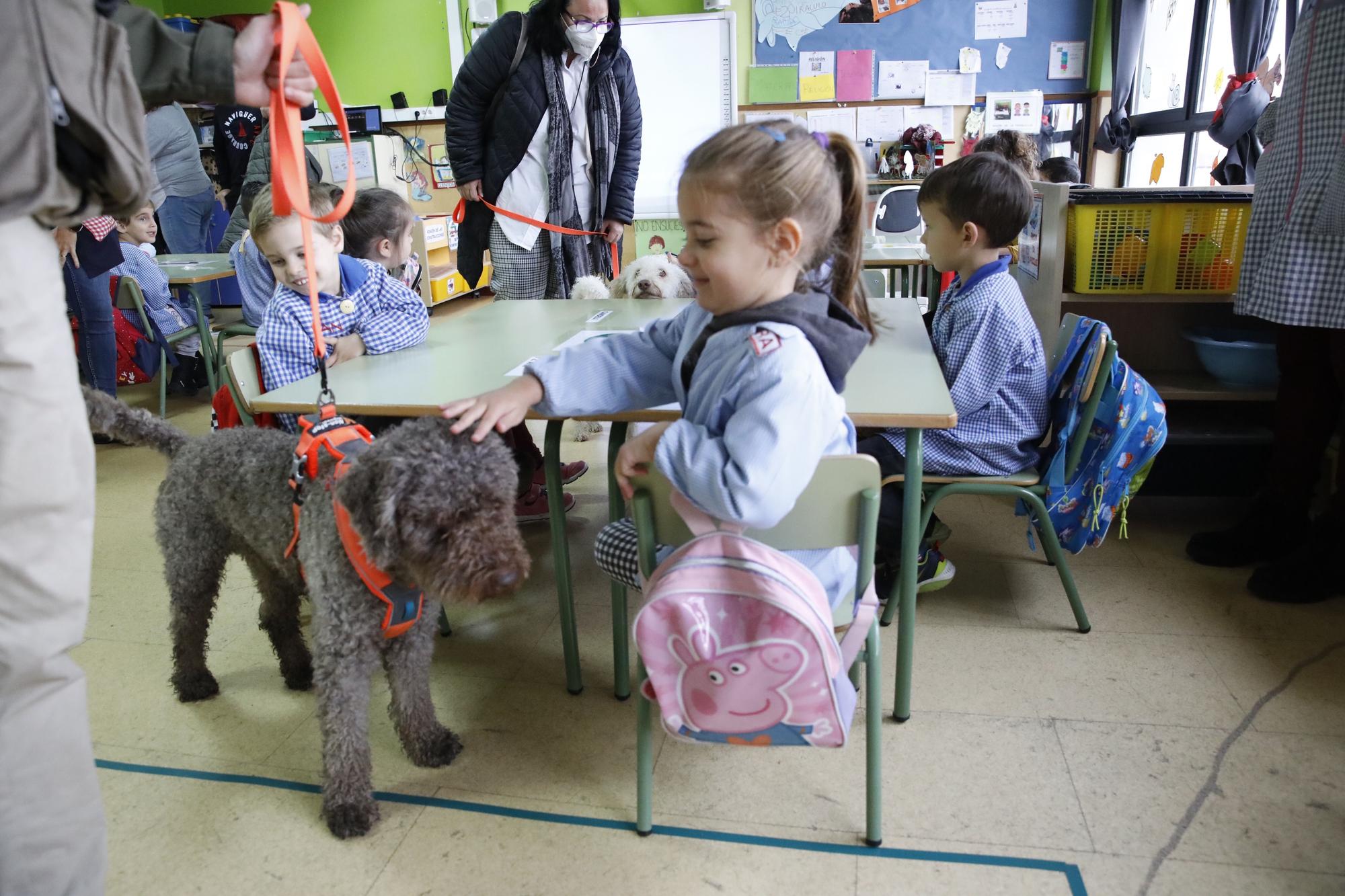 Los niños de Los Pericones aprenden en clase a lavarse los dientes con perros