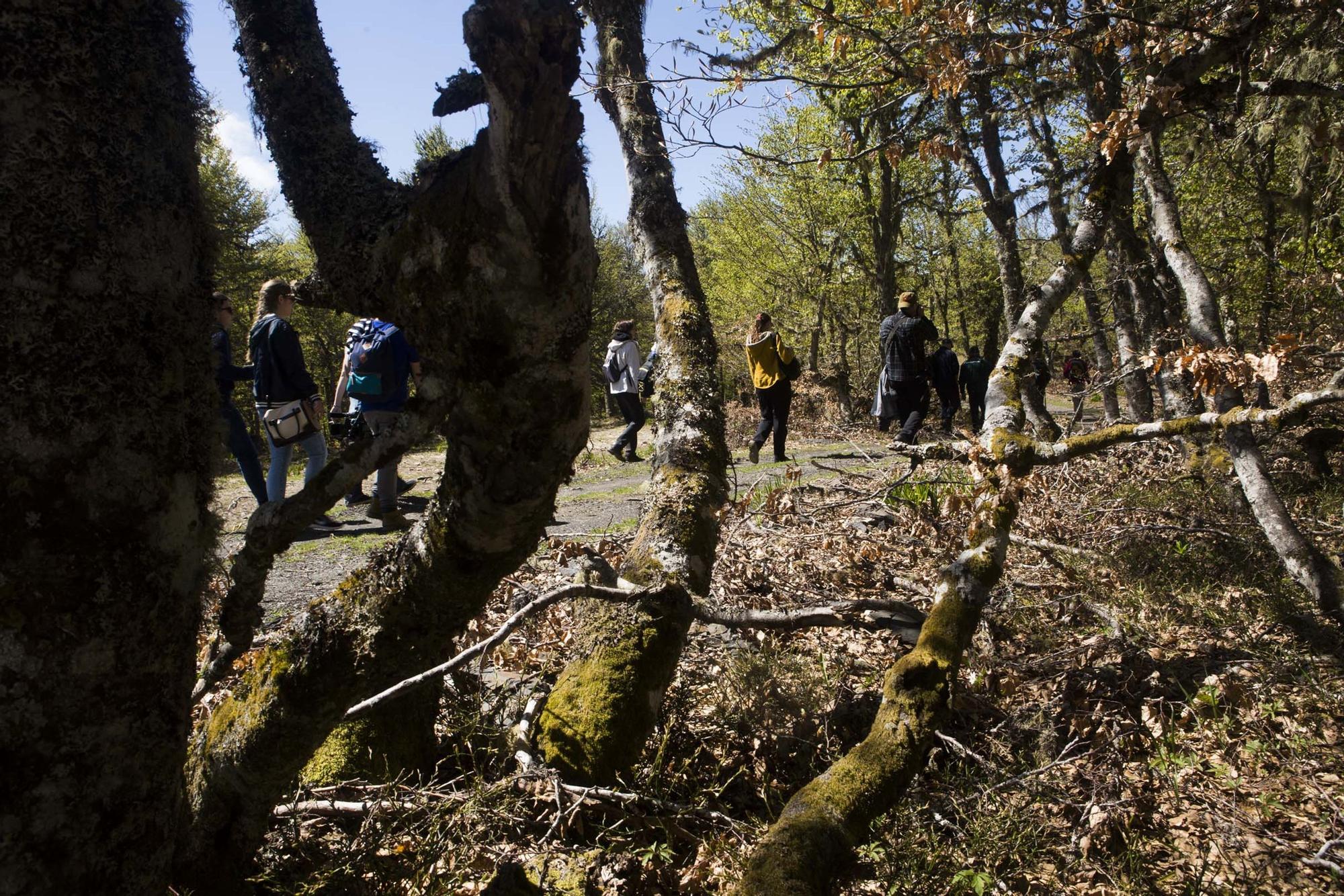 Las 100 fotos que demuestran que el otoño es la mejor época para conocer Asturias