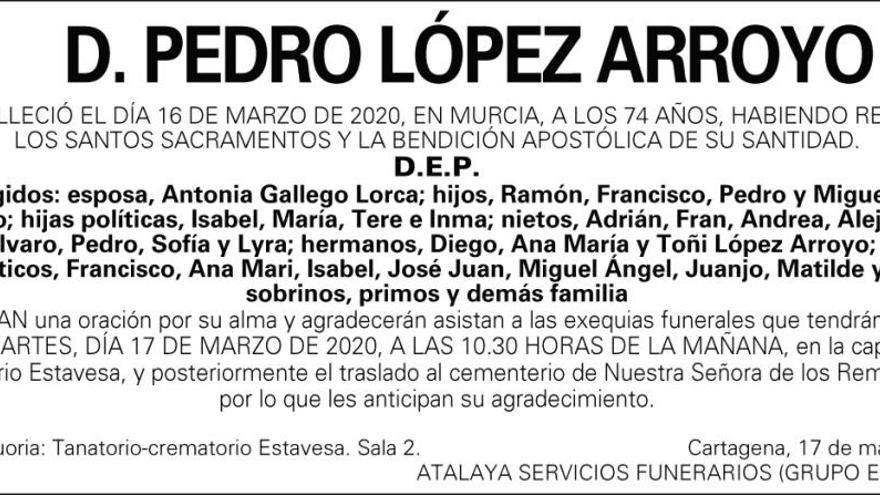 D. Pedro López Arroyo